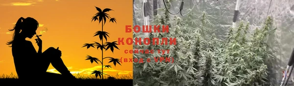 гашик Волосово